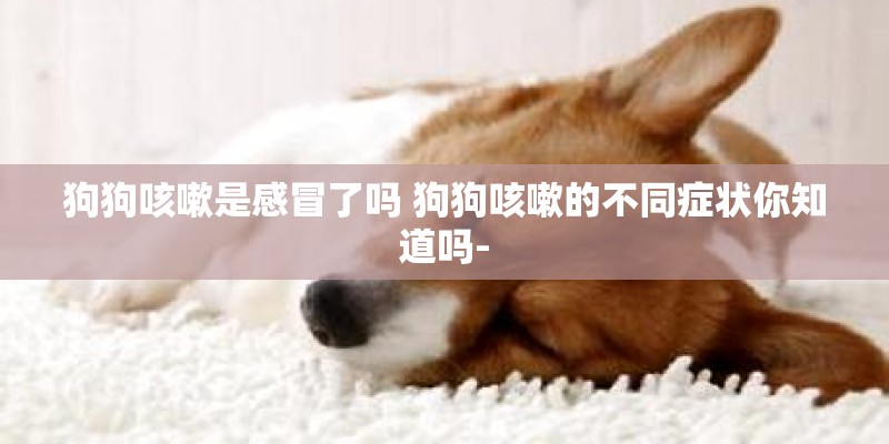 狗狗咳嗽是感冒了吗 狗狗咳嗽的不同症状你知道吗- 狗狗咳嗽是感冒了吗 狗狗咳嗽的不同症状你知道吗-