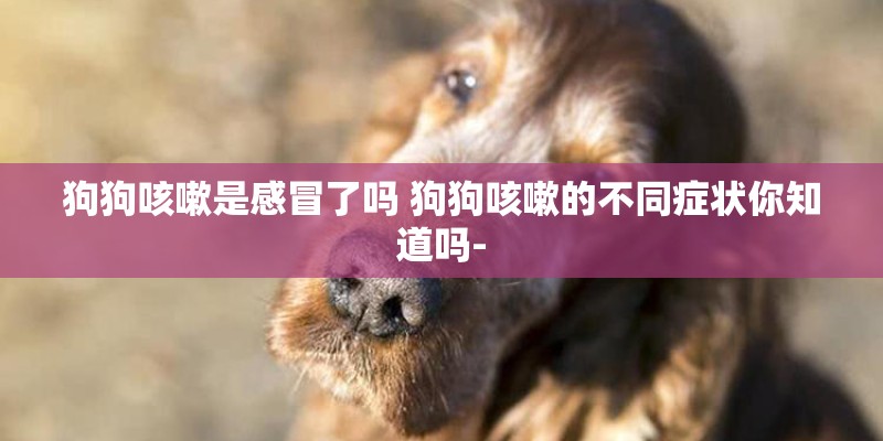 狗狗咳嗽是感冒了吗 狗狗咳嗽的不同症状你知道吗- 狗狗咳嗽是感冒了吗 狗狗咳嗽的不同症状你知道吗-
