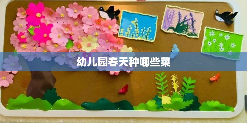 幼儿园春天种哪些菜