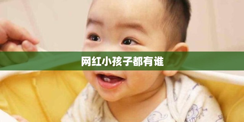 网红小孩子都有谁 网红小孩子都有谁