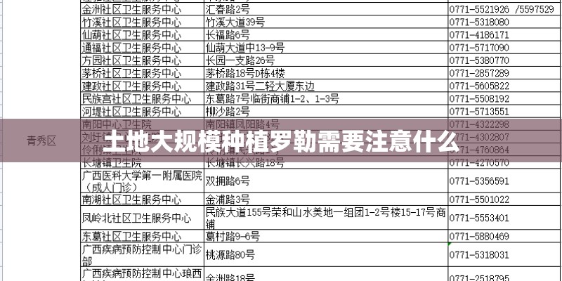 土地大规模种植罗勒需要注意什么