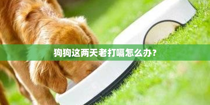金佛手盆栽方法(盆栽金佛手怎么管理)