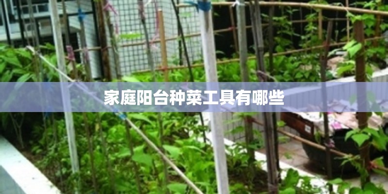 家庭阳台种菜工具有哪些