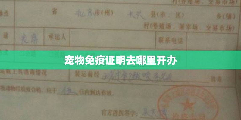 宠物免疫证明去哪里开办