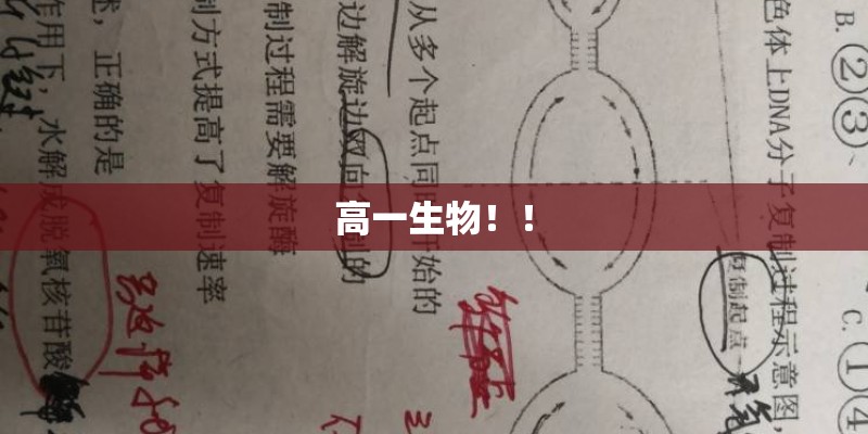 高一生物！！