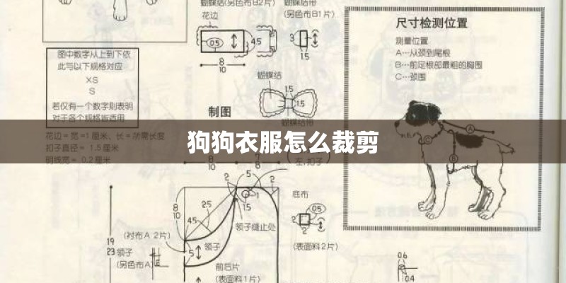 狗狗衣服怎么裁剪