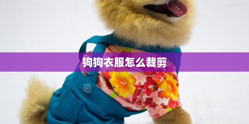 狗狗衣服怎么裁剪