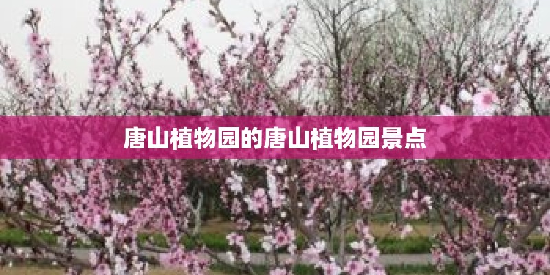 唐山植物园的唐山植物园景点