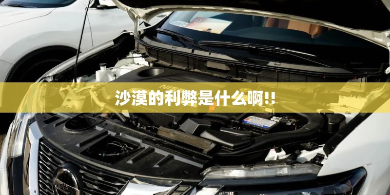 沙漠的利弊是什么啊!!
