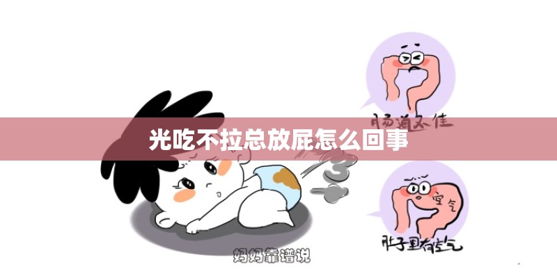 光吃不拉总放屁怎么回事