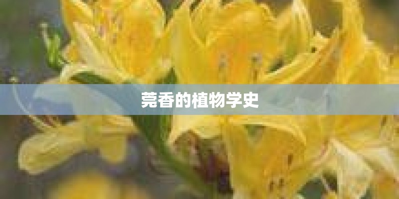 莞香的植物学史