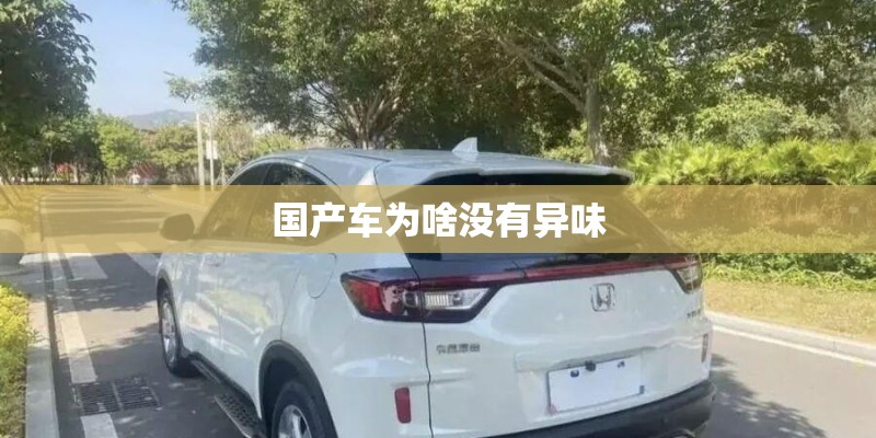 国产车为啥没有异味