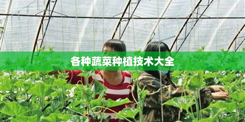 各种蔬菜种植技术大全