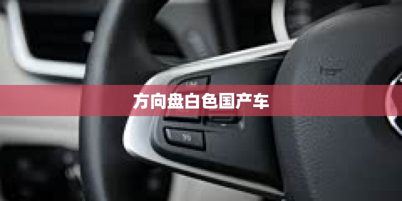 方向盘白色国产车