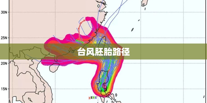 台风胚胎路径