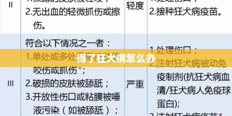 得了狂犬病怎么办
