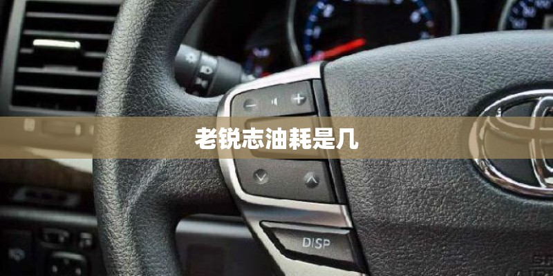老锐志油耗是几