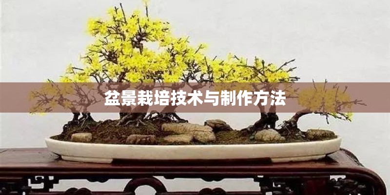 盆景栽培技术与制作方法