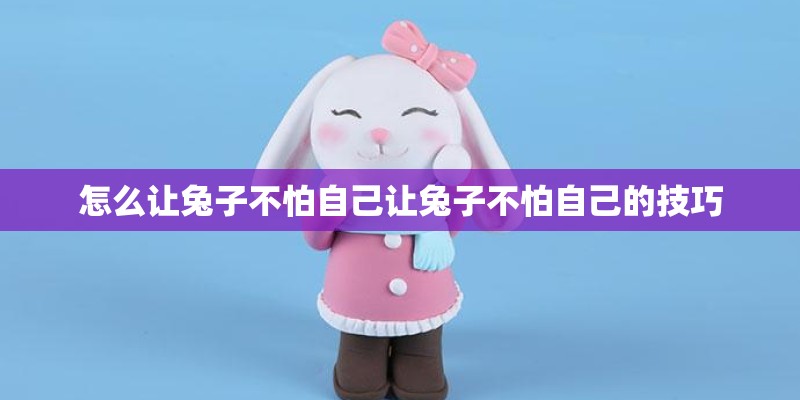 怎么让兔子不怕自己让兔子不怕自己的技巧