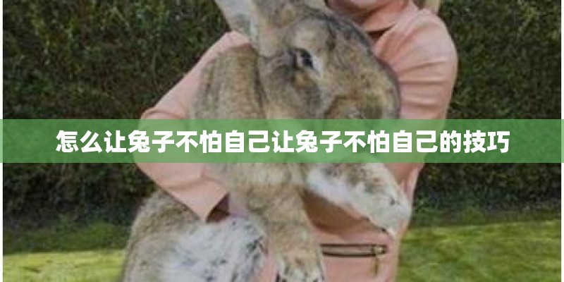 怎么让兔子不怕自己让兔子不怕自己的技巧
