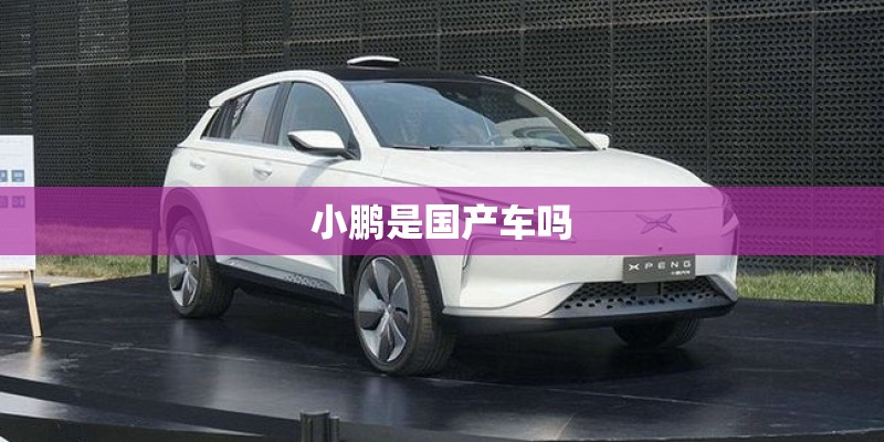 小鹏是国产车吗