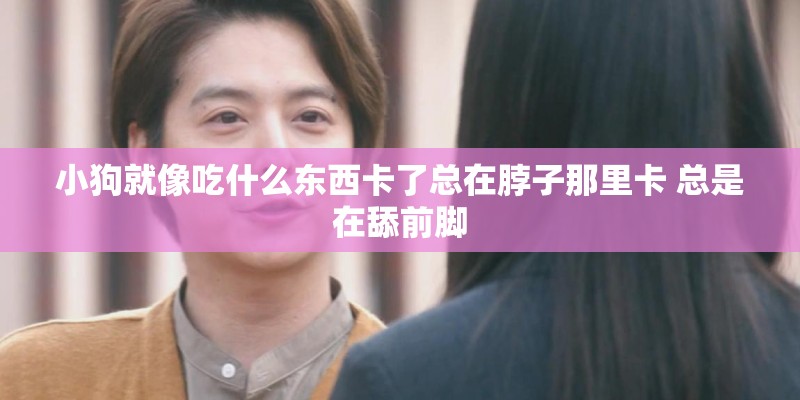 小狗就像吃什么东西卡了总在脖子那里卡 总是在舔前脚