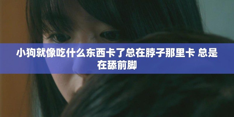 小狗就像吃什么东西卡了总在脖子那里卡 总是在舔前脚