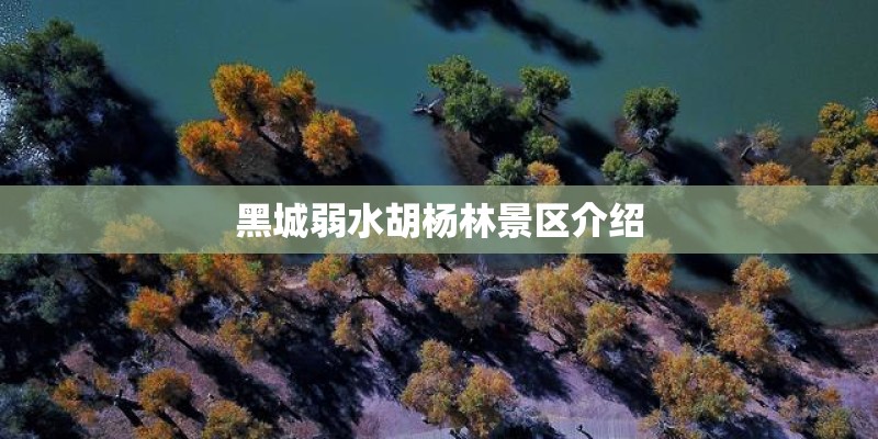 黑城弱水胡杨林景区介绍