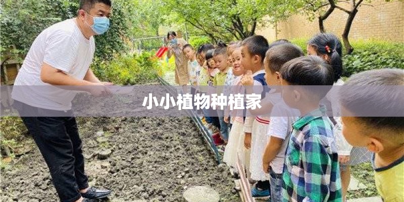 小小植物种植家