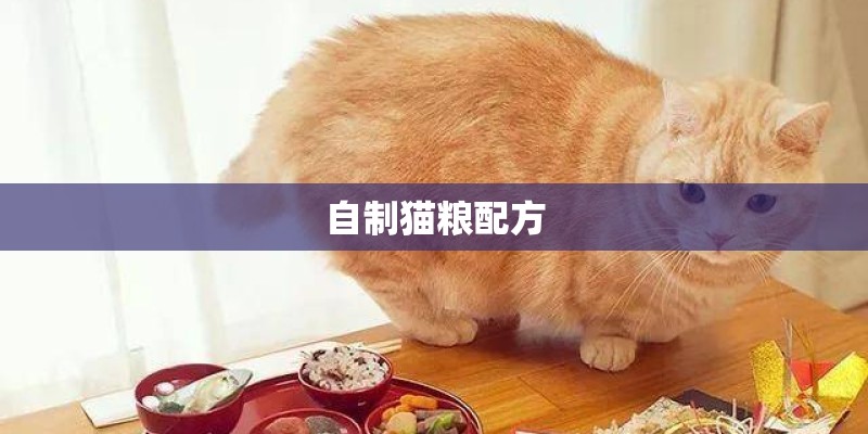 自制猫粮配方