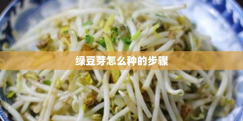 大班科学活动教案《种植》