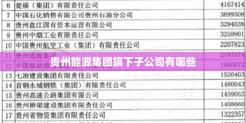 贵州能源集团旗下子公司有哪些