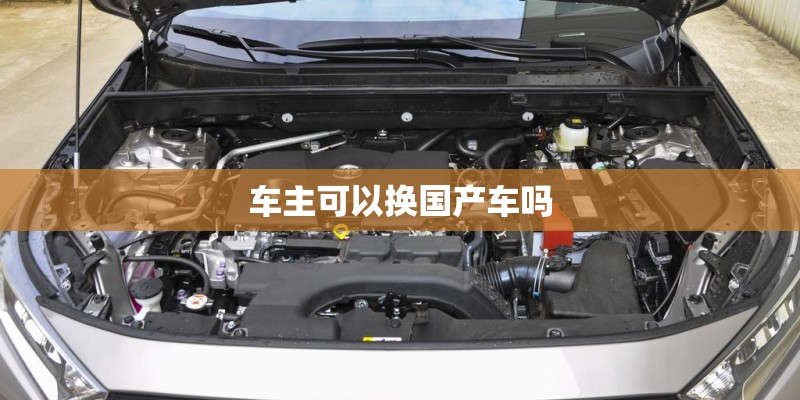 车主可以换国产车吗