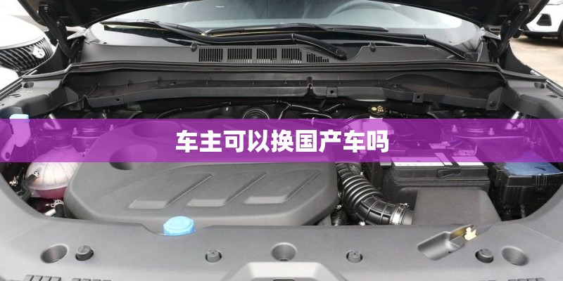 车主可以换国产车吗