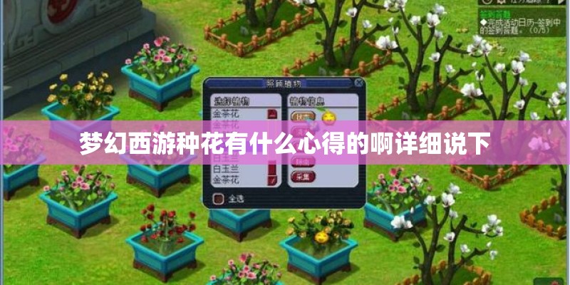 梦幻西游种花有什么心得的啊详细说下