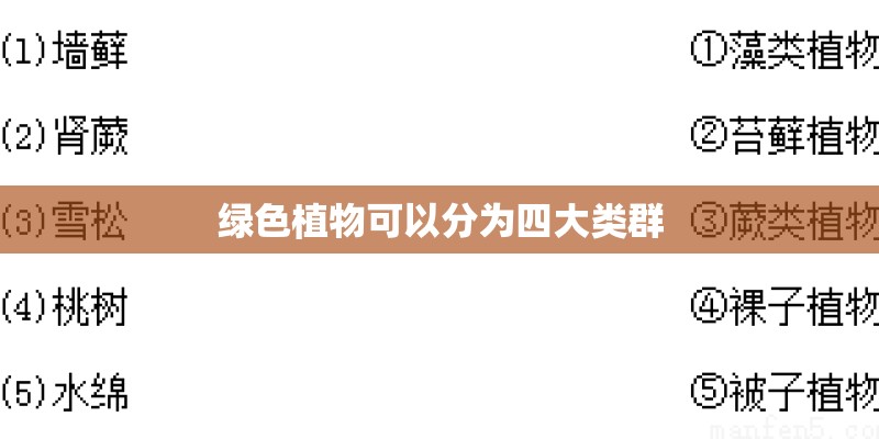 绿色植物可以分为四大类群
