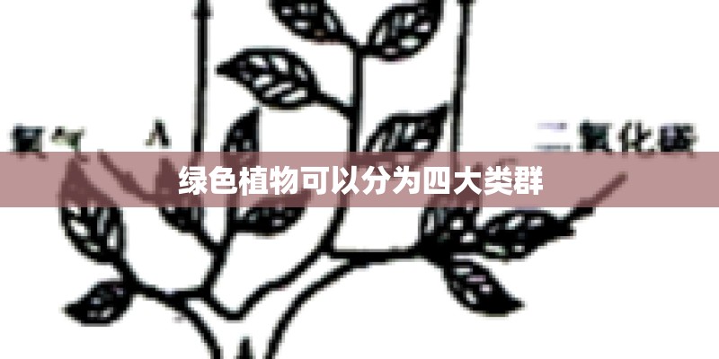 绿色植物可以分为四大类群