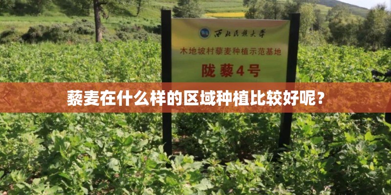 藜麦在什么样的区域种植比较好呢？