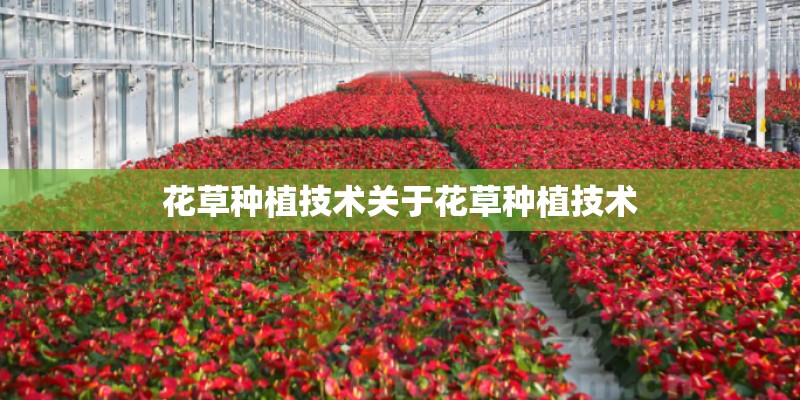 花草种植技术关于花草种植技术