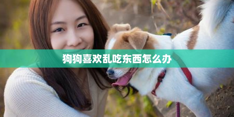 狗狗喜欢乱吃东西怎么办