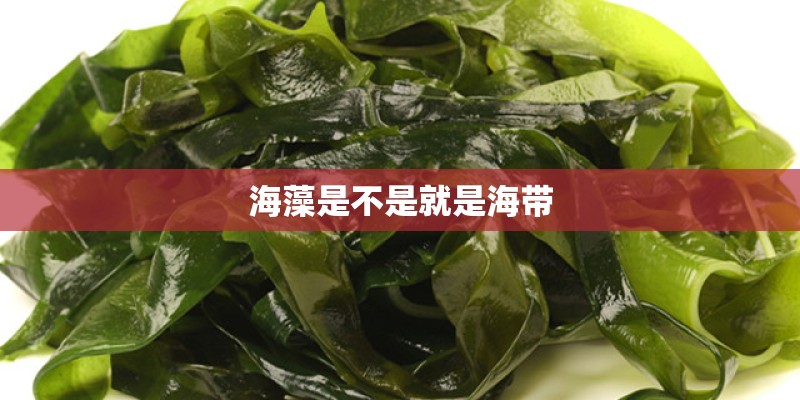 海藻是不是就是海带