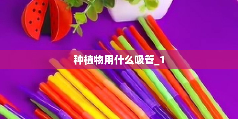 种植物用什么吸管_1