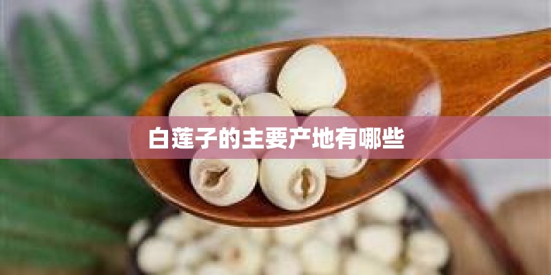 白莲子的主要产地有哪些