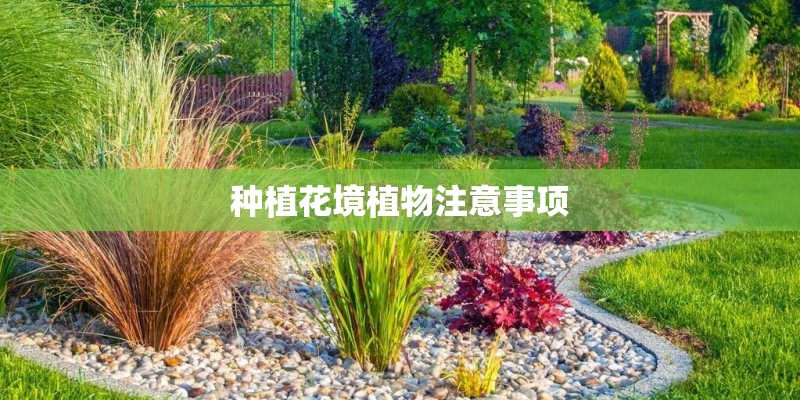 种植花境植物注意事项