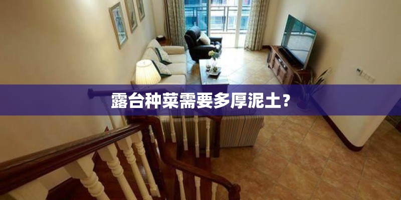 露台种菜需要多厚泥土? 露台种菜需要多厚泥土?