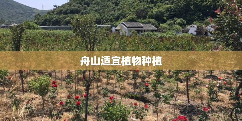 舟山适宜植物种植
