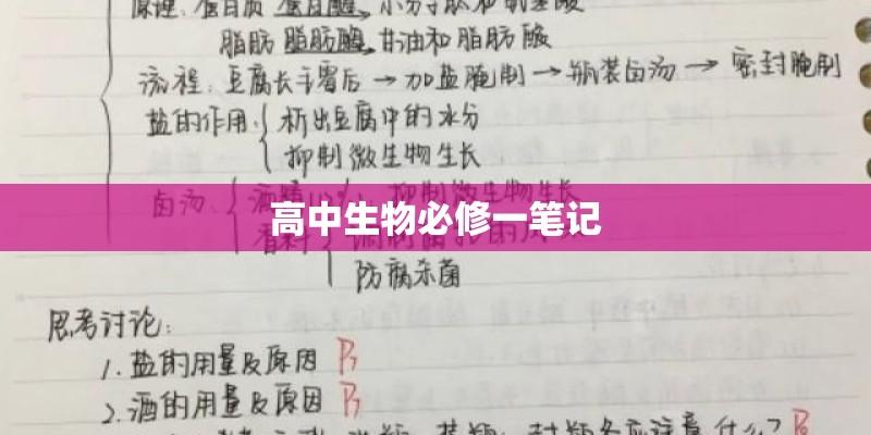 高中生物必修一笔记