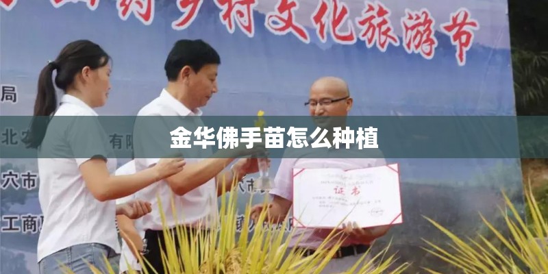 金华佛手苗怎么种植 金华佛手苗怎么种植