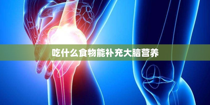 吃什么食物能补充大脑营养