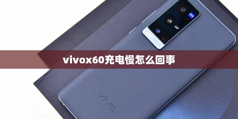 vivox60充电慢怎么回事